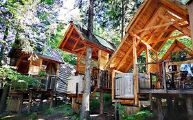 Ribno Alpine Glamping